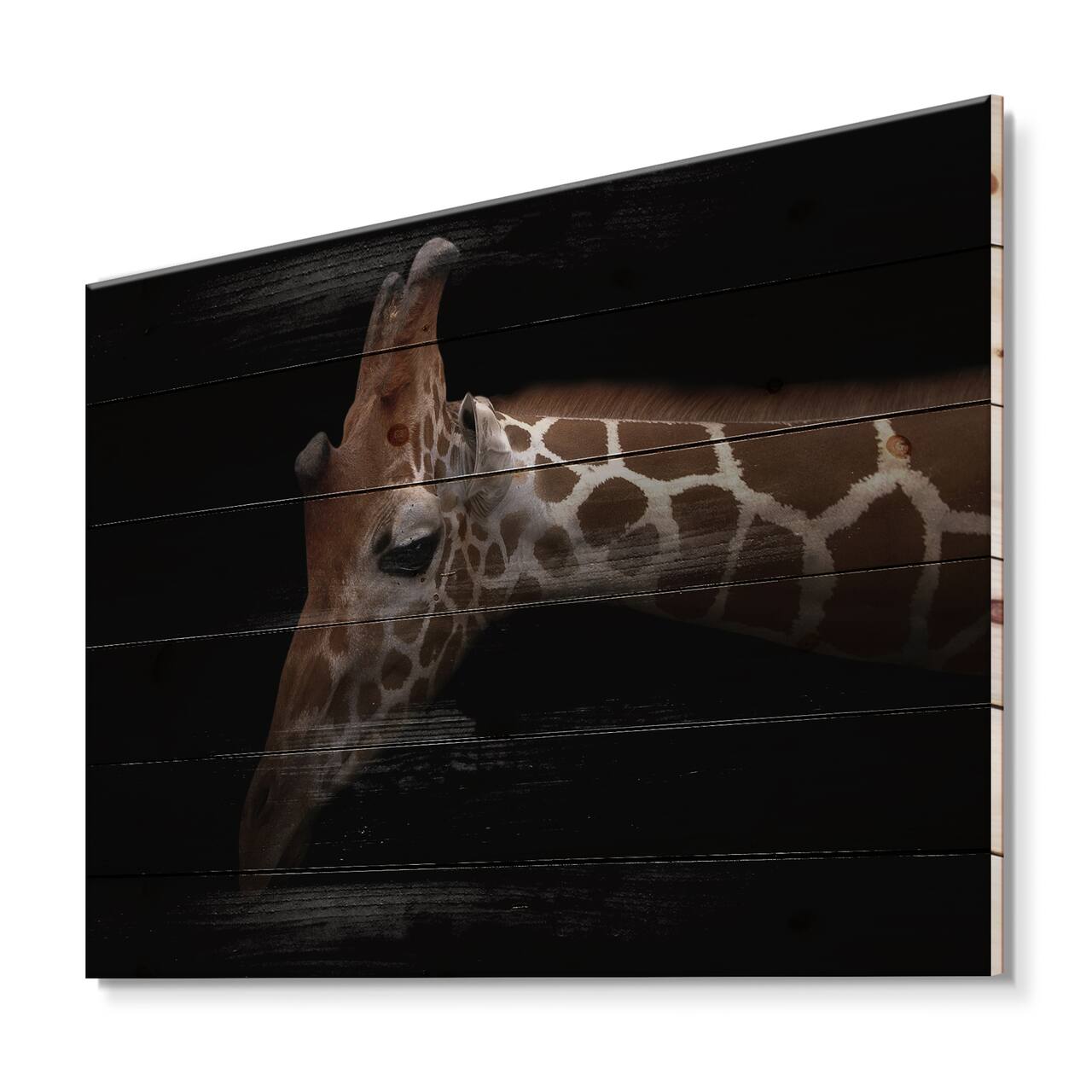 Designart - Portrait of A Giraffe IV - Farmhouse Print on Natural Pine Wood